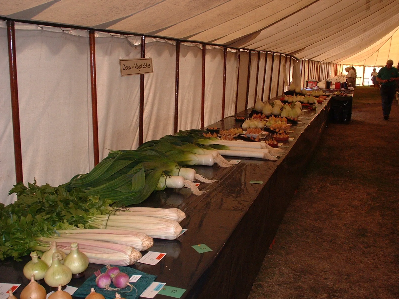 Gifford flower show 01